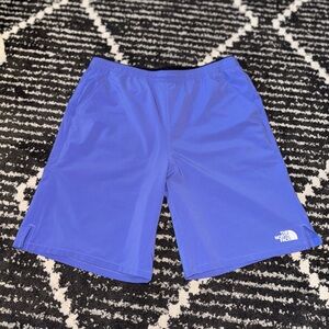 The North Face Men's Vibrant Blue Athletic Shorts